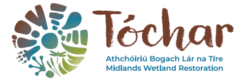 Tóchar Logo