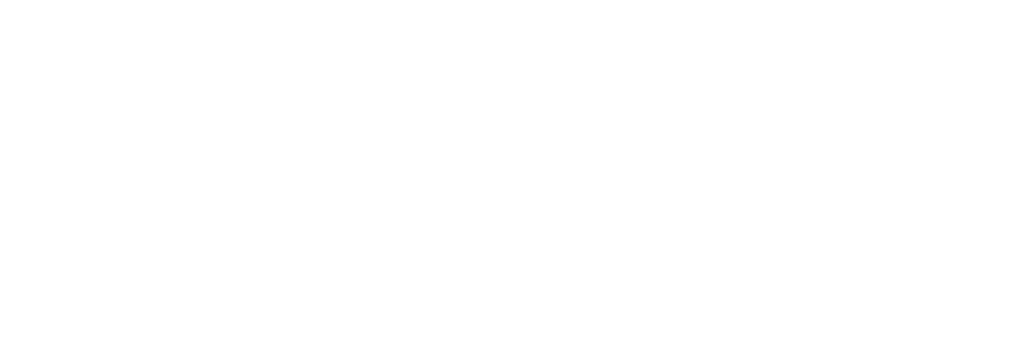 Tóchar Logo MONO WHITE